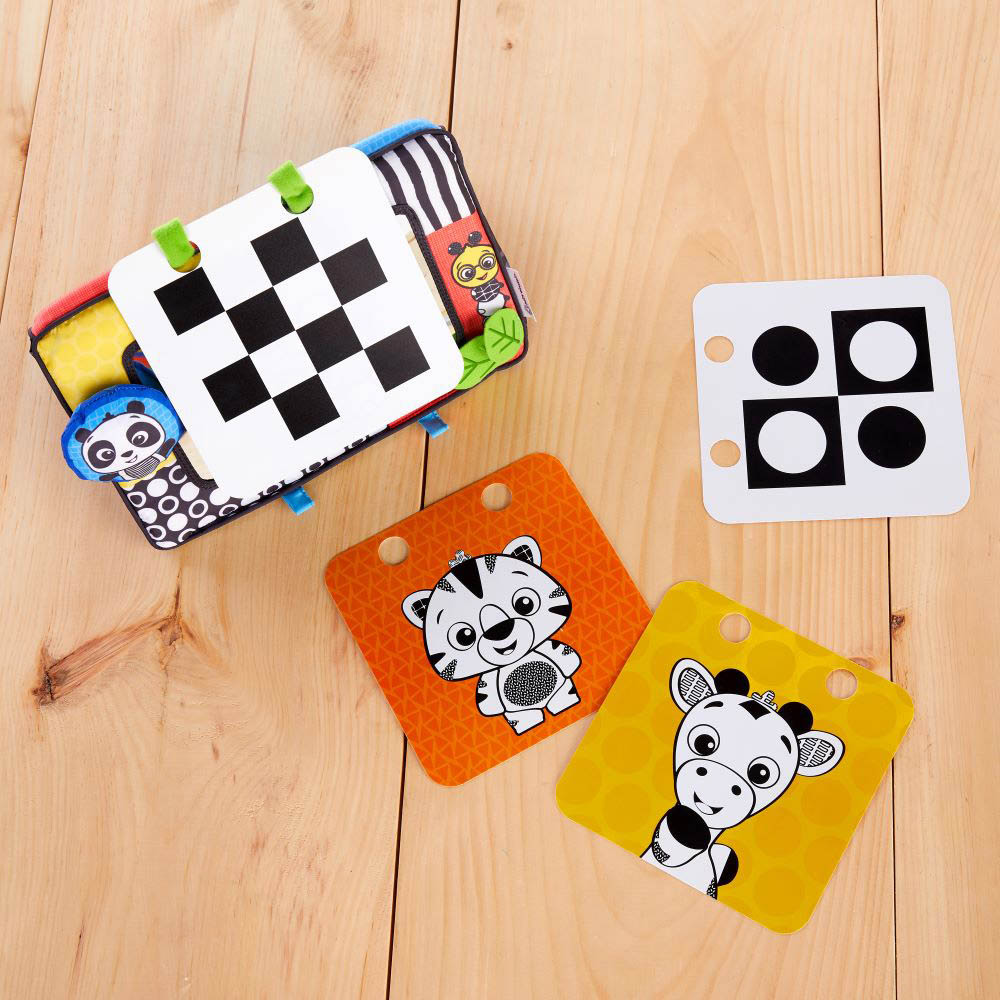 Baby Einstein - Flip For Art Mirror And Flashcard Set