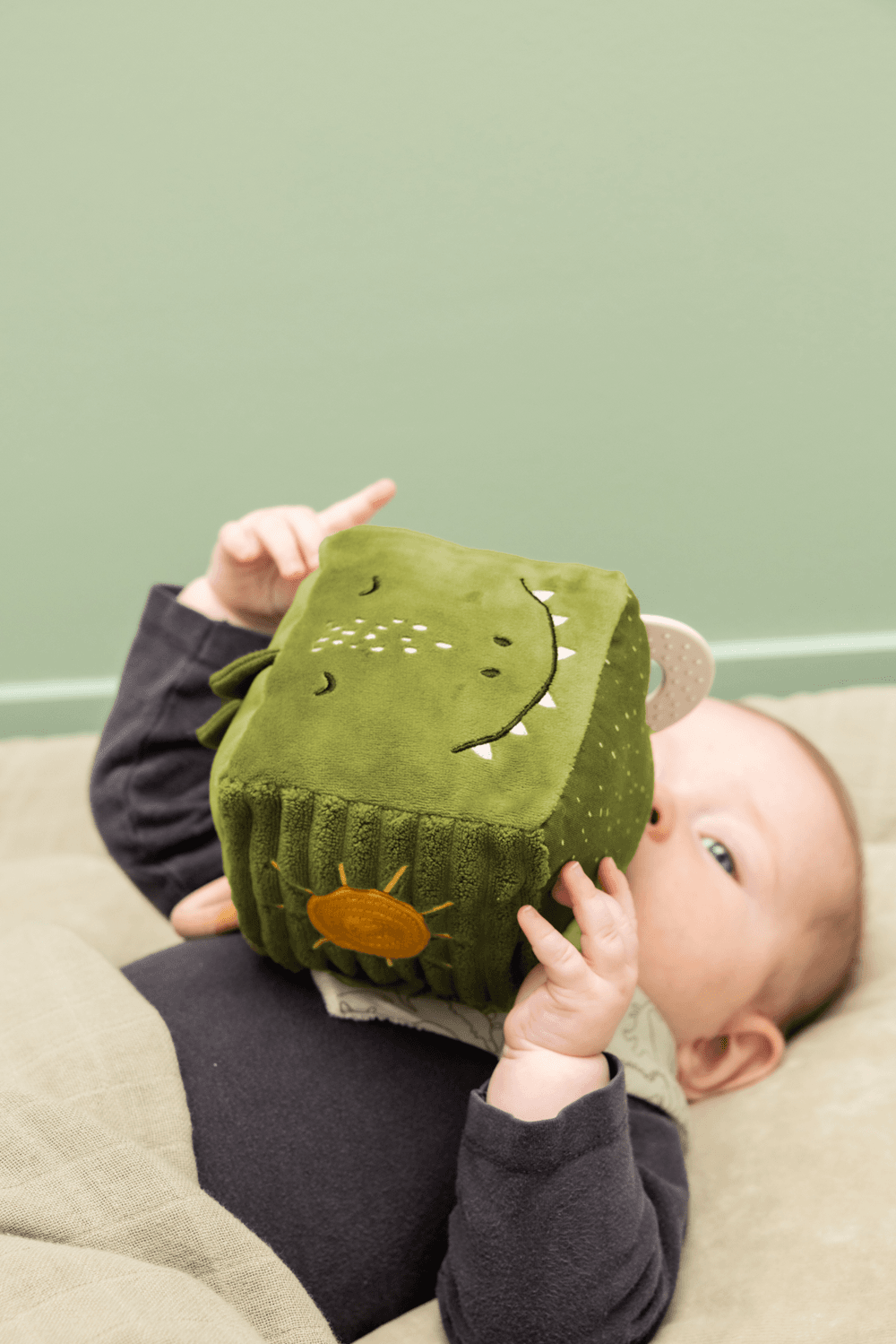 تريكسي - مكعب النشاط - السيد دينو