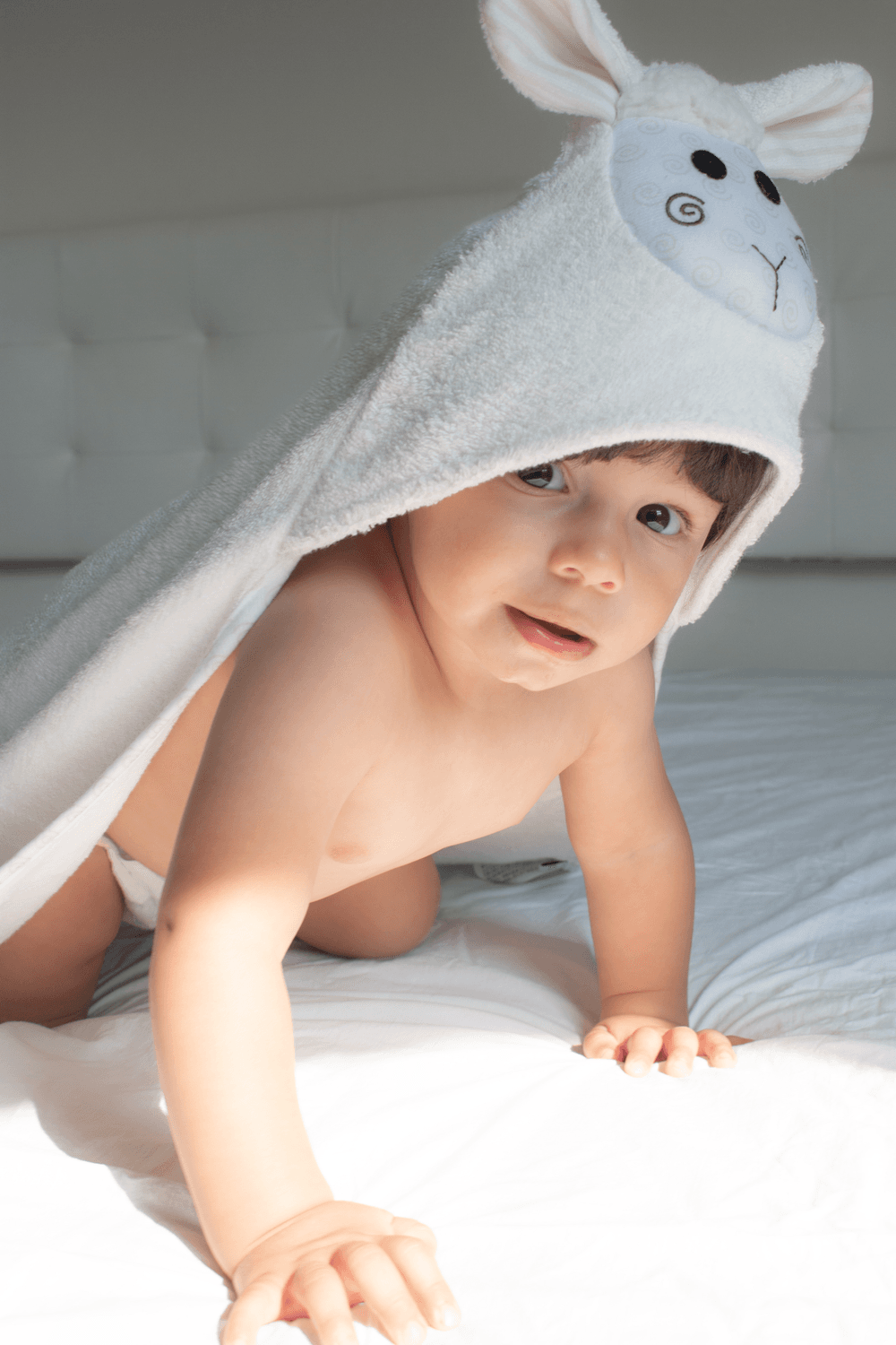 Zoocchini - Baby Hooded Towel - Lucky The Lamb - White