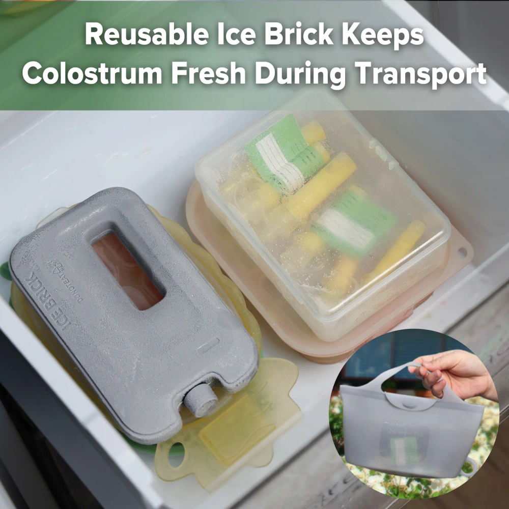 Haakaa - Colostrum Collector 6pk + Steriliser Bag + Ice Brick