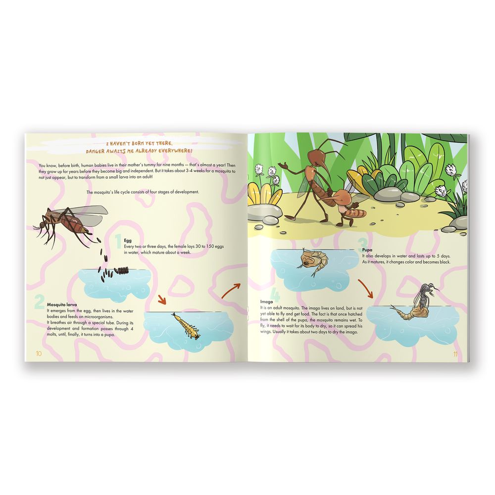 The Mosquito Is Allah's Amazing Creation