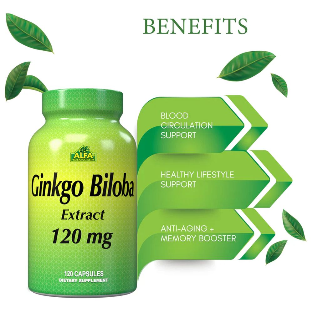 Alfa Vitamins - Ginkgo Biloba 120 mg Brain Function & Memory Support Supplement Capsules - 120 Pcs