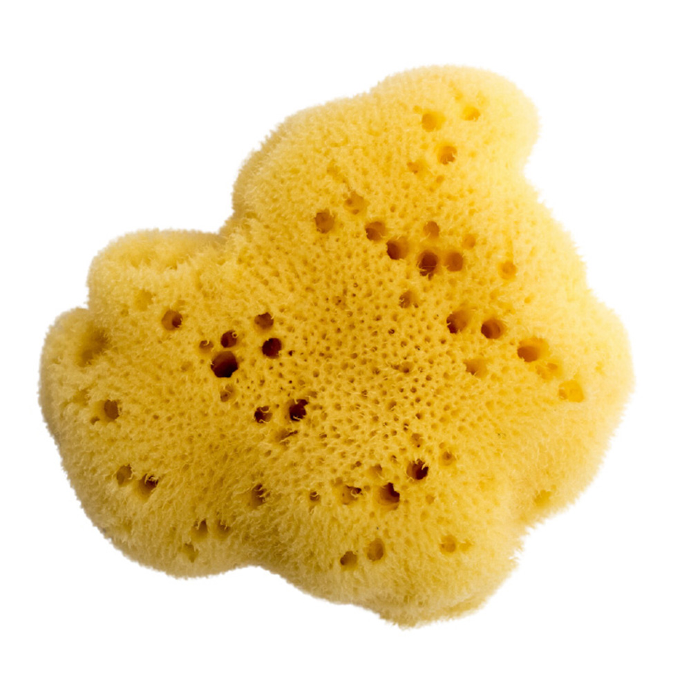 Bellini - Premium Fine Silk Sea Sponge