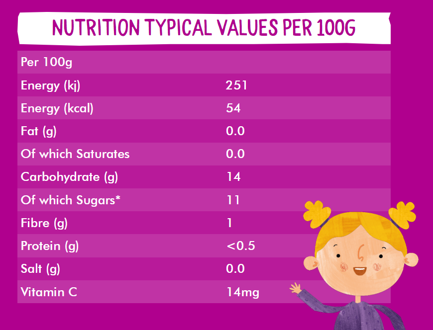 Piccolo - Kids Organic Apple, Raspberry & Blueberry Squeezy Fruit - Pack of 4 - 90 gm