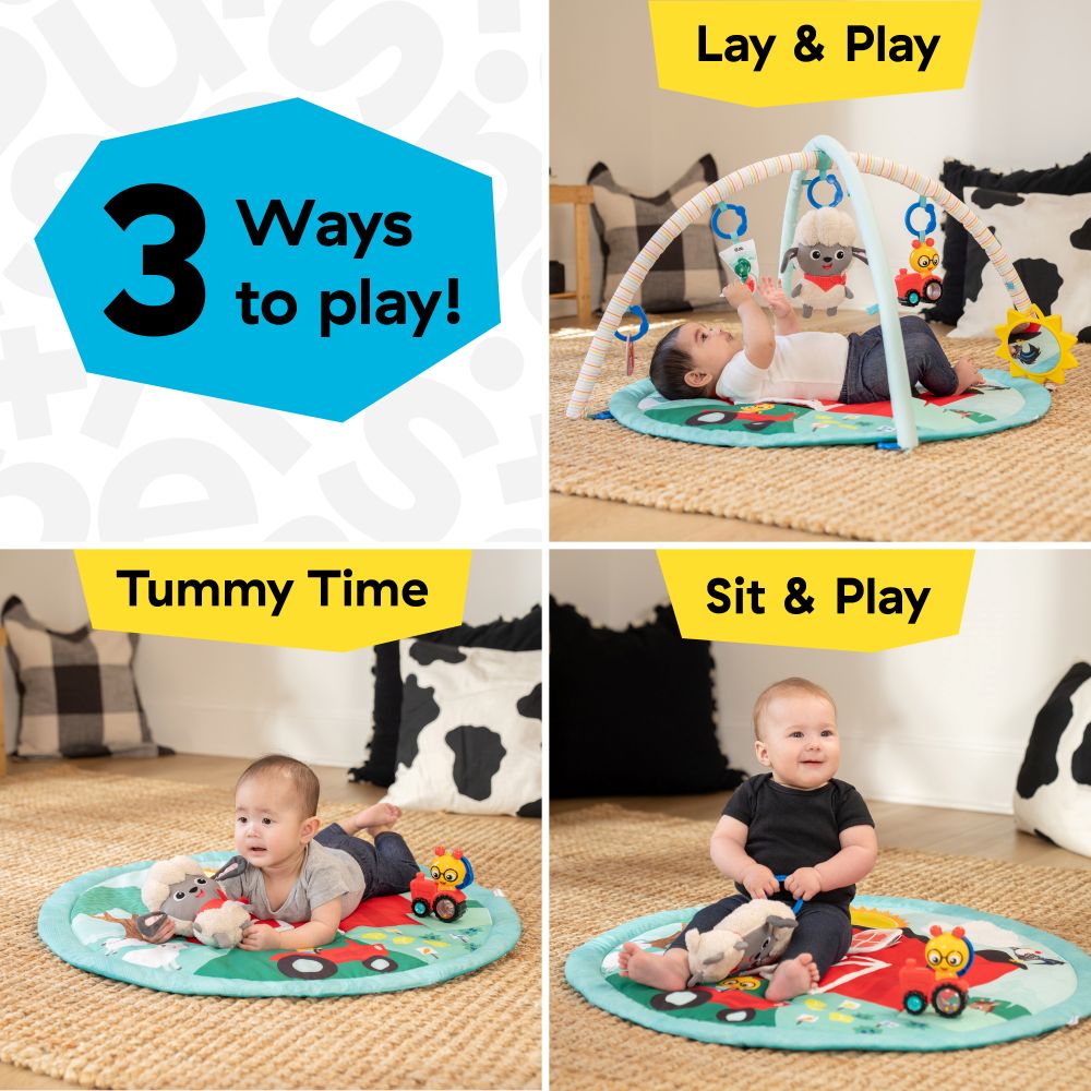Baby Einstein - Happy Harvest Touch & Feel Play Gym