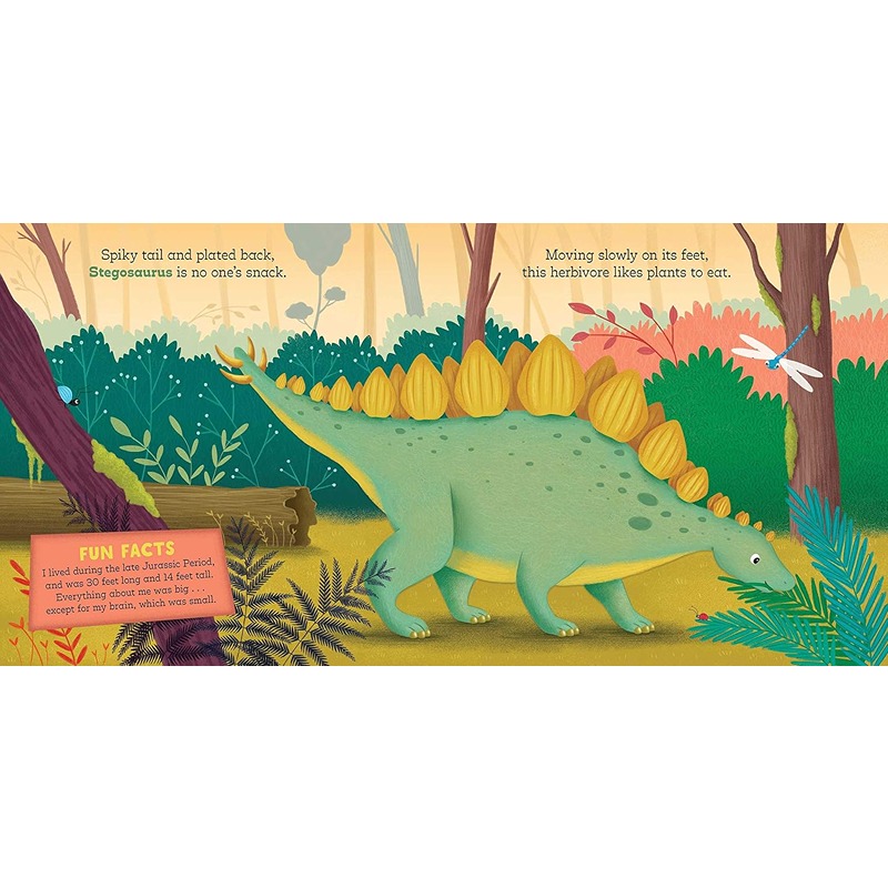 Little Genius Dinosaurs