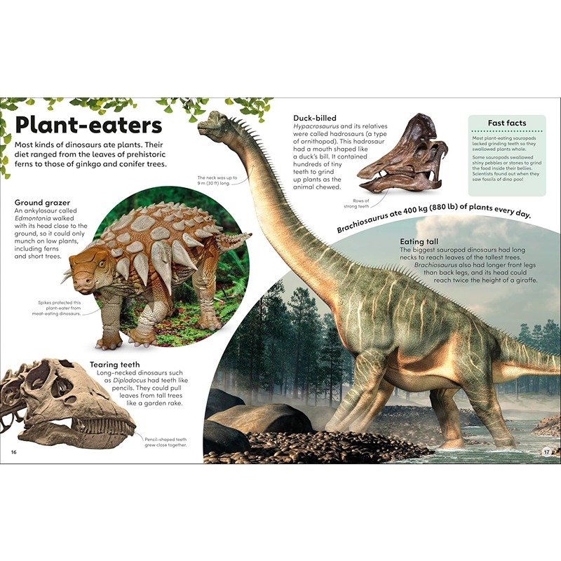 Eyewonder Dinosaurs: Open Your Eyes To A World Of Discovery