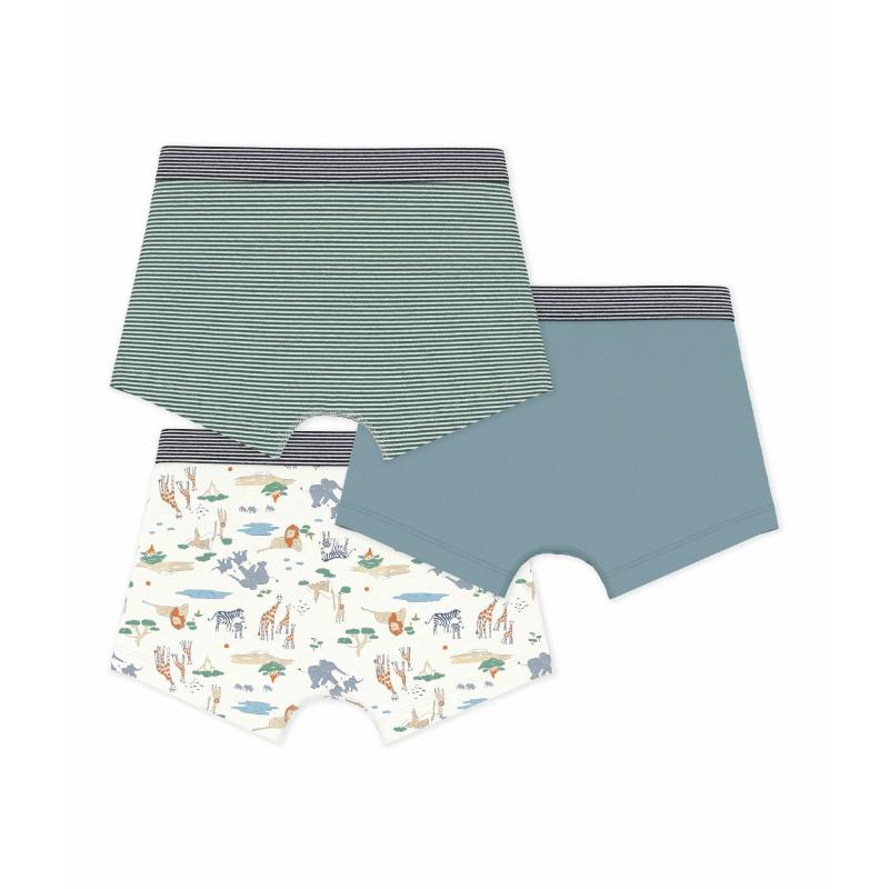 Petit Bateau - 3pc-Set - Boy' Savanna Print Cotton Boxers - Green/Blue/White