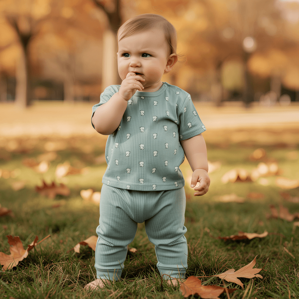 Babies Basic - Ribbed Cotton Printed Short Sleeves T-shirt And Pyjama Set