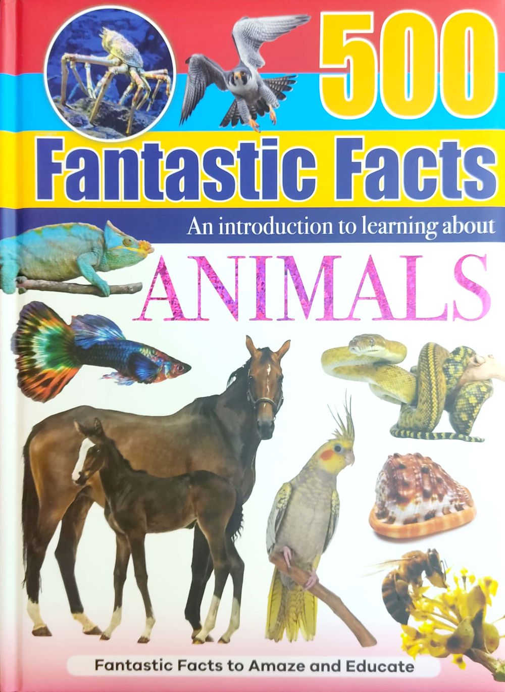 كتاب 500 Fantastic Facts - Animals