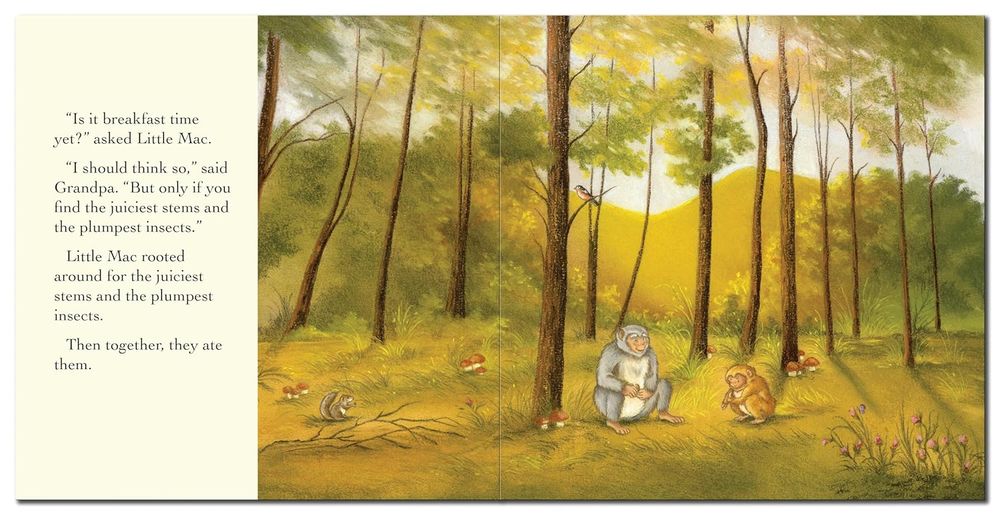 Grandpa's Little Monkey Story Book