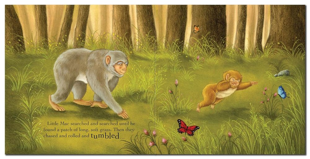 Grandpa's Little Monkey Story Book
