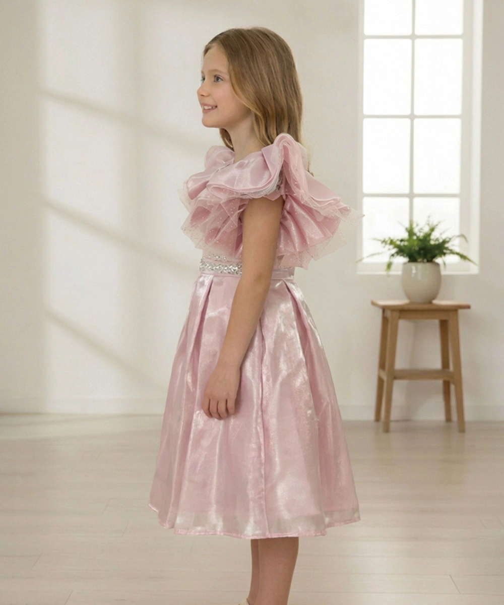 Le Crystal - Girl's 3D Mesh Rose Party Dress - Pink
