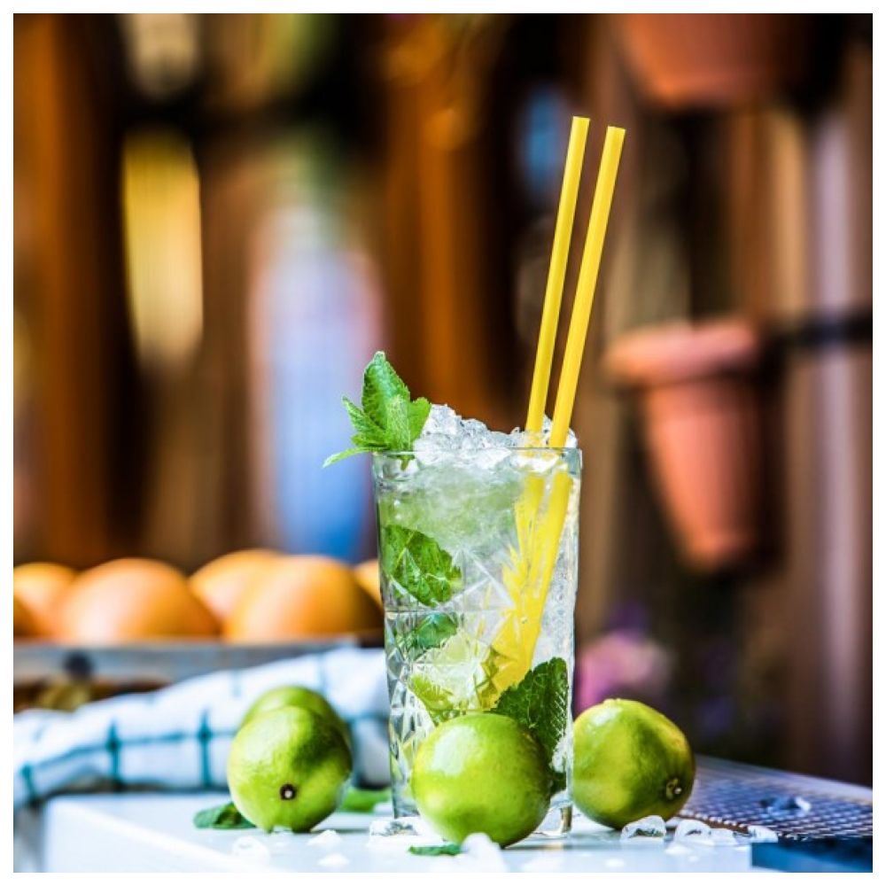 Gastroback Electrical Ice Crusher - Silver