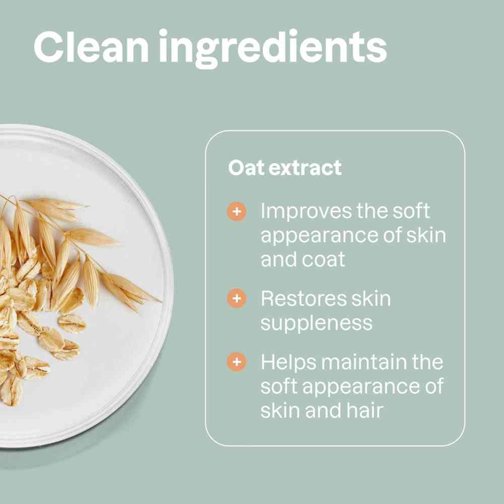 أتيتيود - شامبو الشوفان المهدئ من فيري فريندز - بدون رائحة - 473 مل