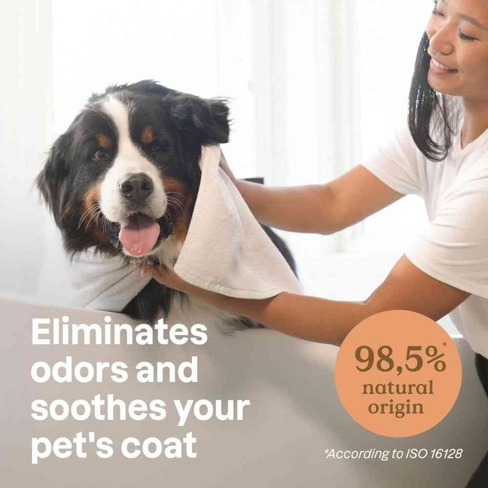 أتيتيود - شامبو الشوفان المهدئ من فيري فريندز - بدون رائحة - 473 مل