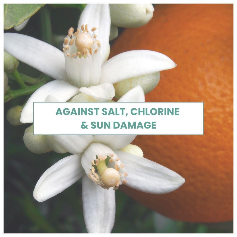 مون شامبونج - بخاخ واقي من الشمس للشعر يُترك على الشعر - 200 مل