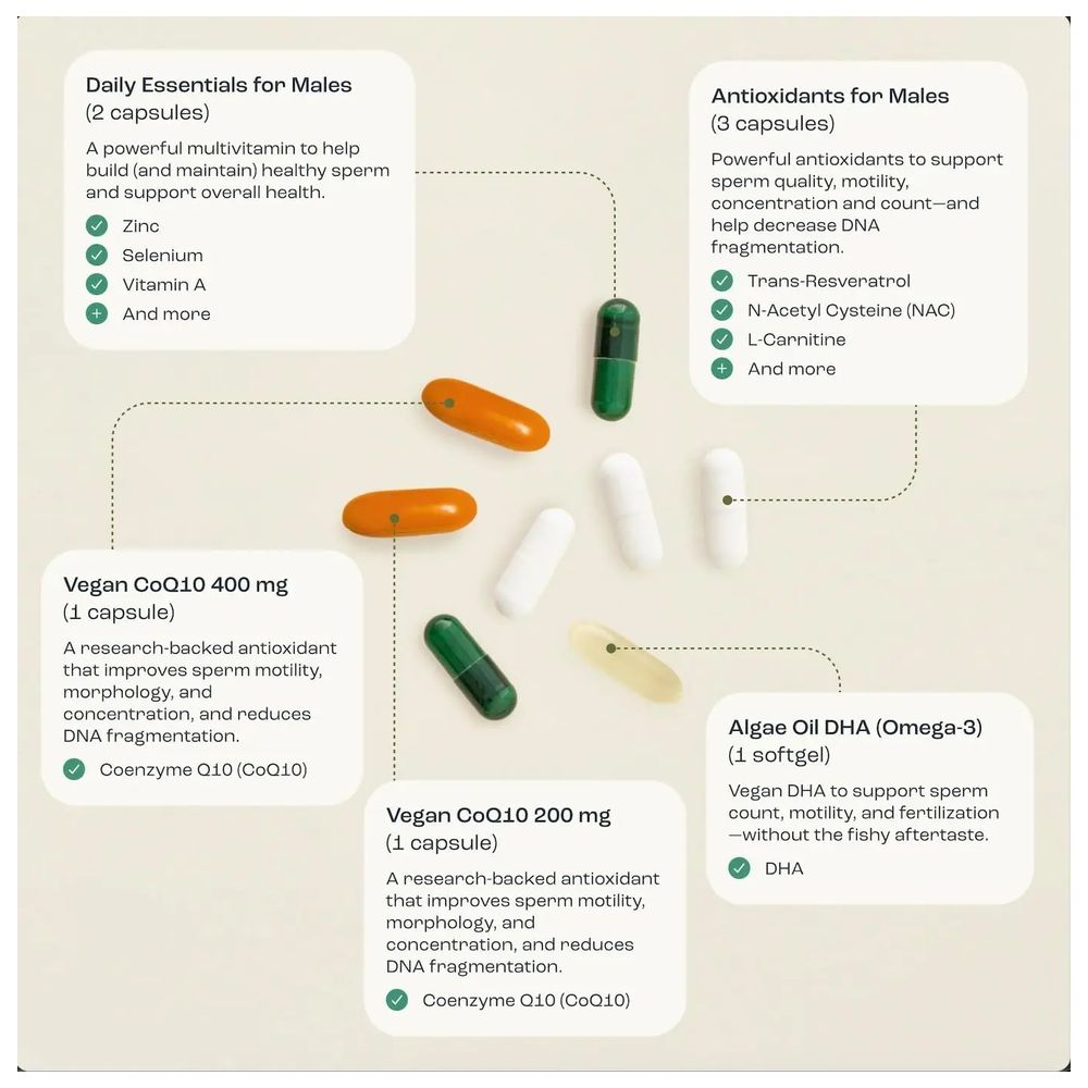 أوفاسيف - مكمل غذائي للرجال قبل الولادة مع 600 ملغ من إنزيم Q10 المساعد - 240 قطعة