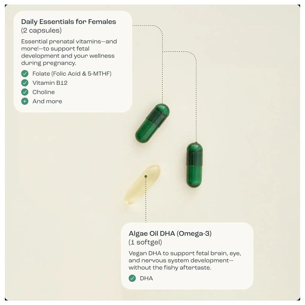 أوفاسيف - كبسولات جيلاتينية داعمة للحمل - 90 قطعة
