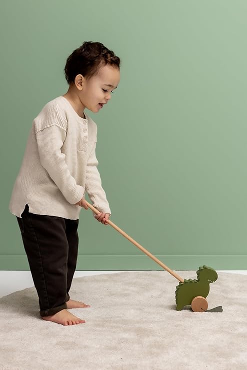 تريكسي - لعبة خشبية للدفع - السيد ديناصور - أخضر