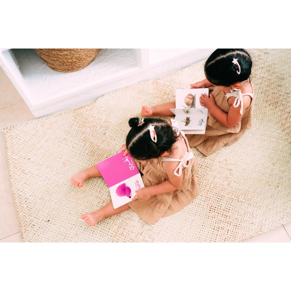 Dardasha - Insects Book