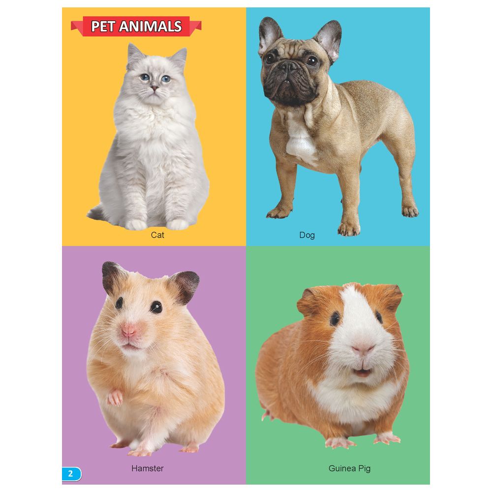 My Book Of 101 Animals