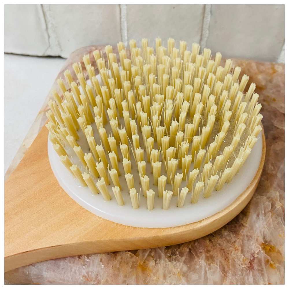 Cleanlogic - Bath & Body Wooden Handle Bristle Bath Brush CL-1 - Color May Vary