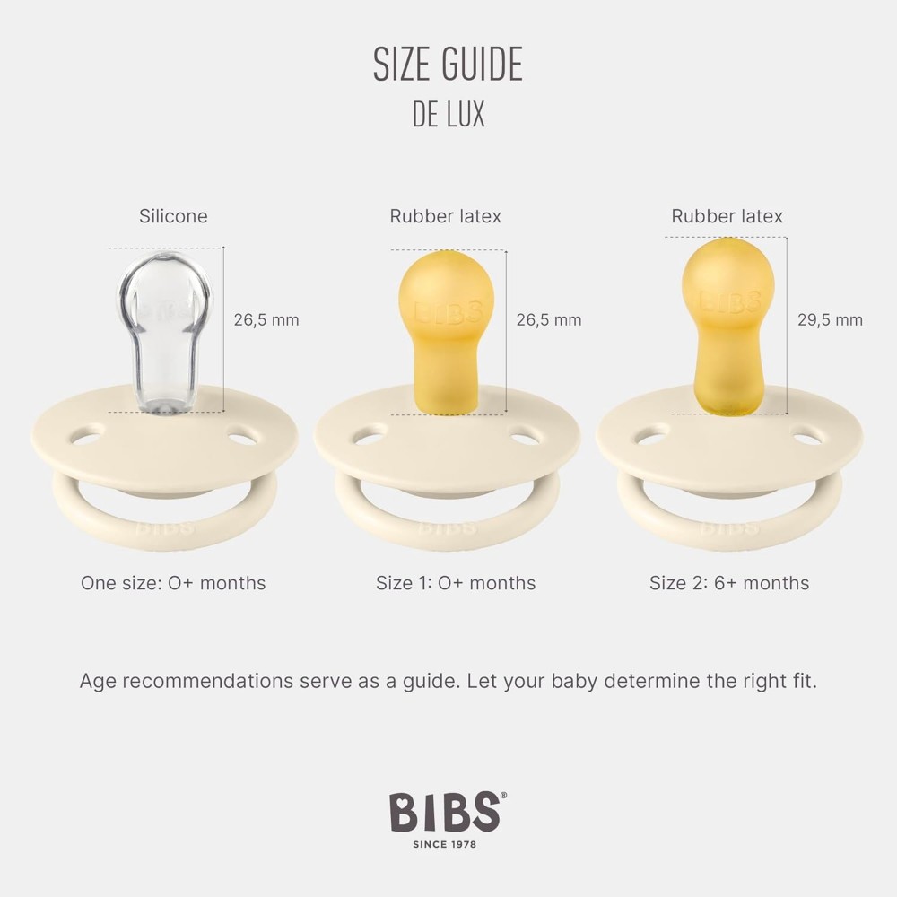 Bibs - De Lux Pacifiers - Pack of 2 - Iron/Baby Blue