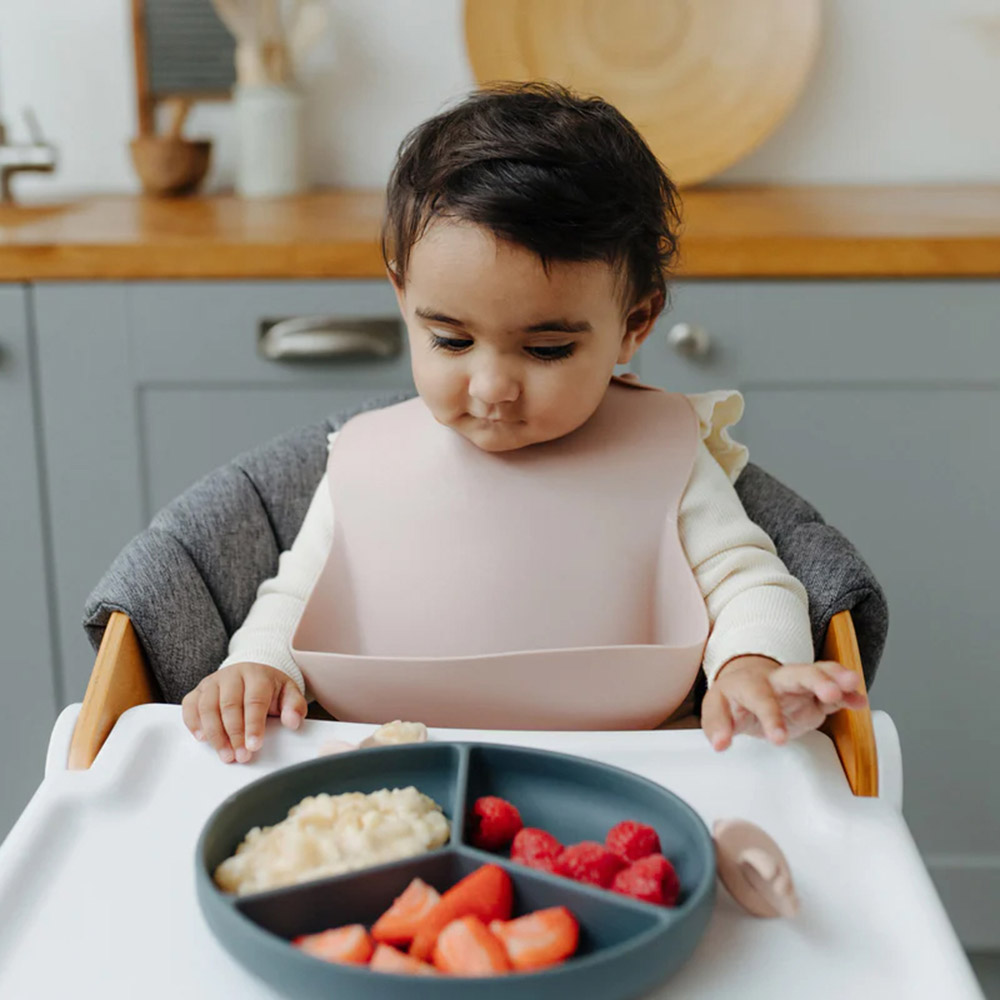 Pippeta - Silicone Bib - Ash Rose