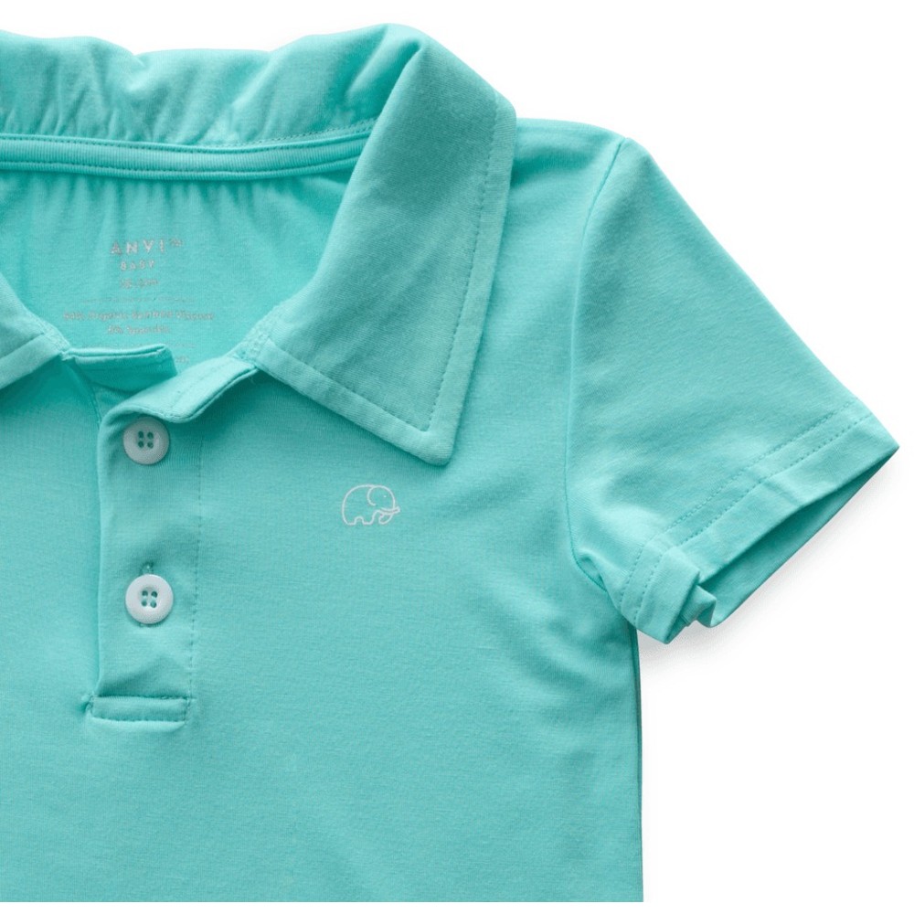 Anvi Baby - Personalized Boy's Short Sleeves Polo T-Shirt - Aqua Blue_2T