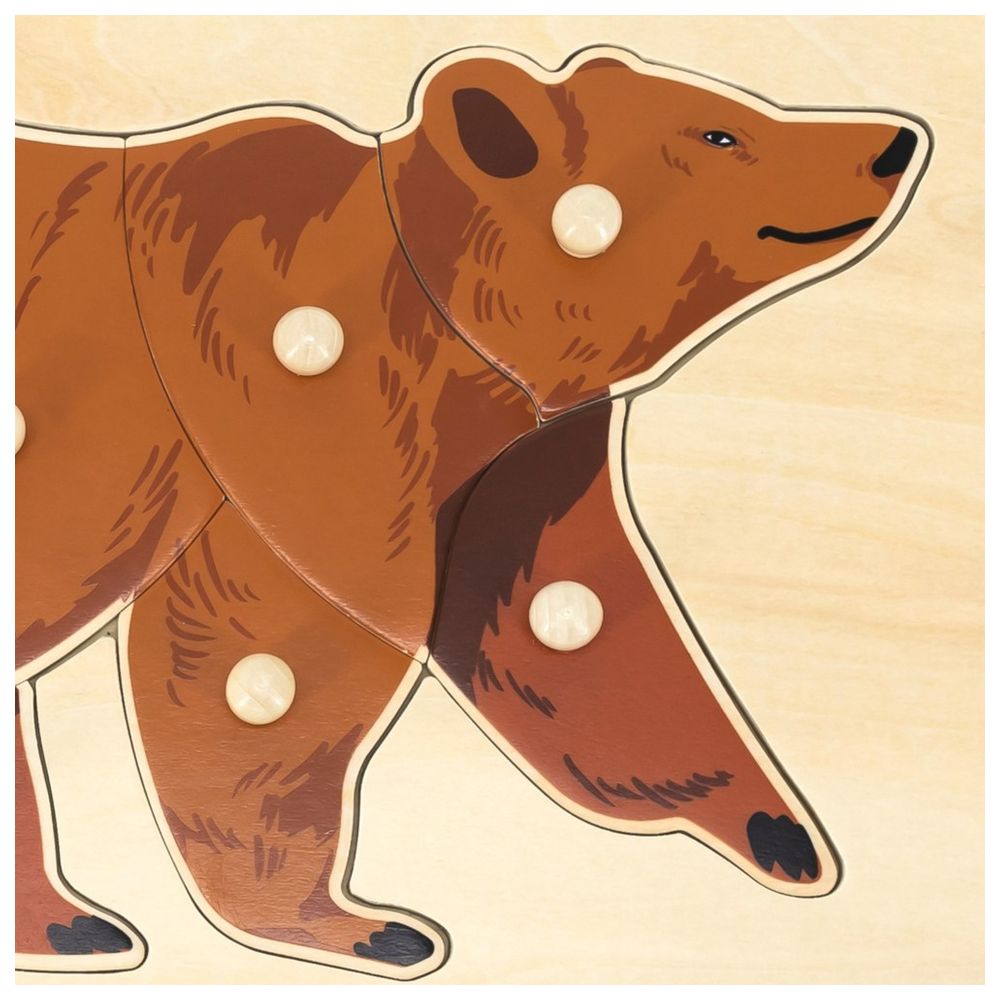 Viga - Bear Wild Animals Knob Puzzle Montessori Wooden Toy Develops Skills - 8pcs