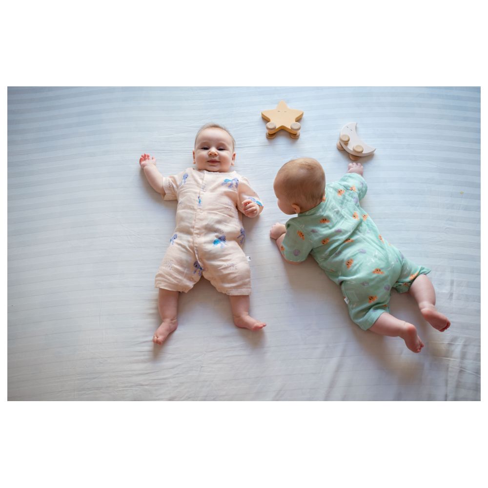 Birch and Bug - Wooden Moon Sky Roller Toy