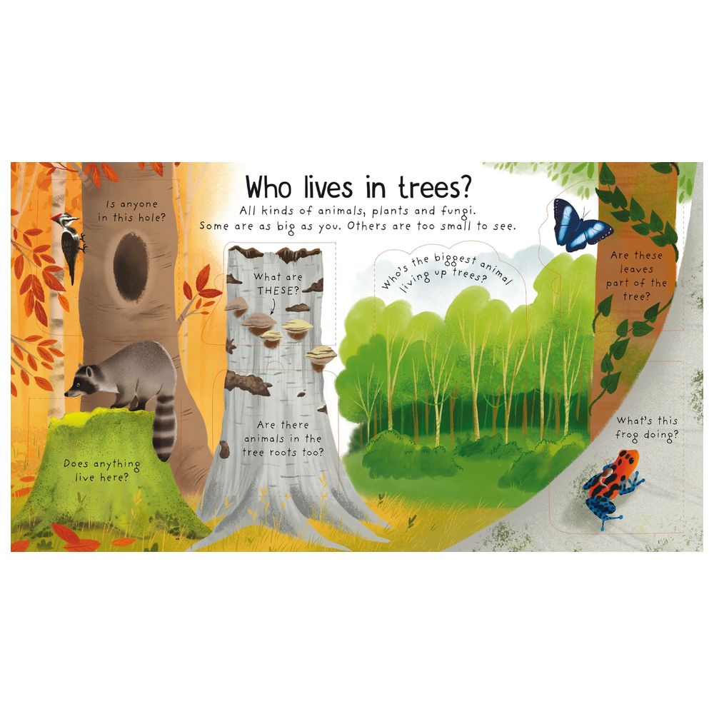 كتاب أسئلة وأجوبة أولى: لماذا نحتاج الأشجار؟