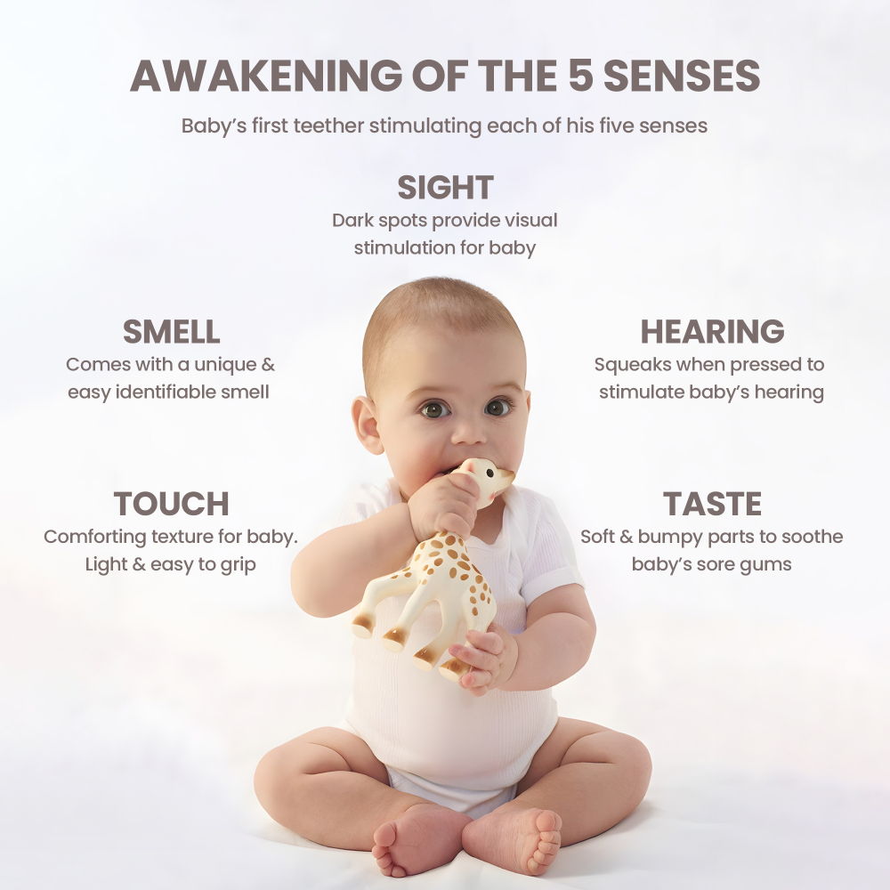 Sophie La Girafe Sophiesticated Tenderness Composition 2 Multicolor