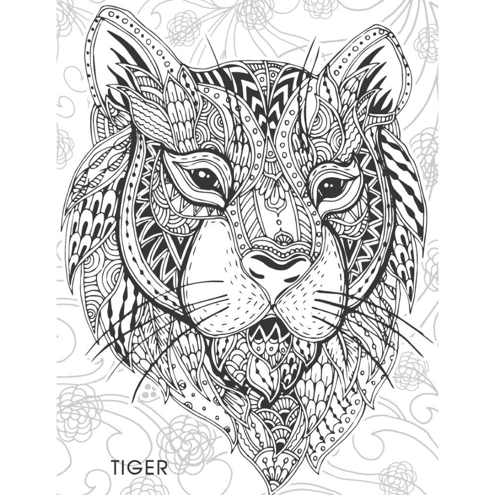 Creative Doodle Colouring - Animals & Birds