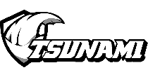 تسونامي