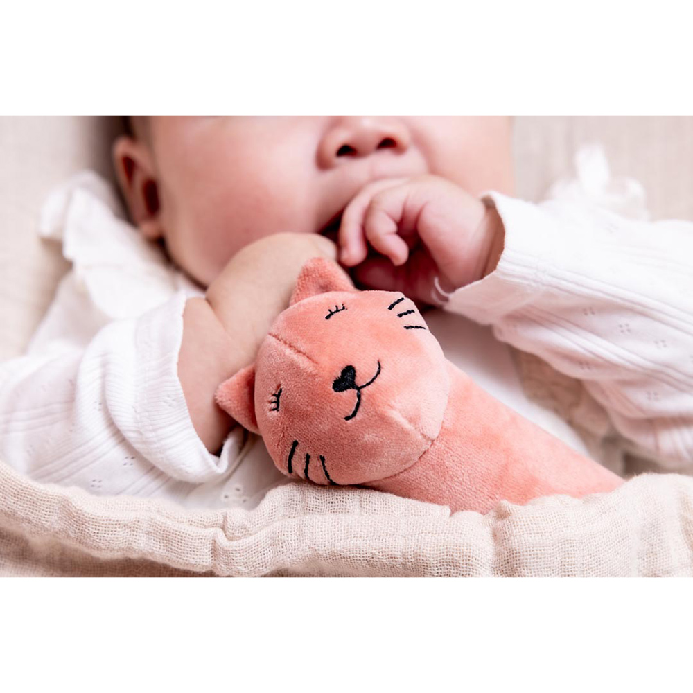 تريكسي - لعبة صرير - السيدة قطة