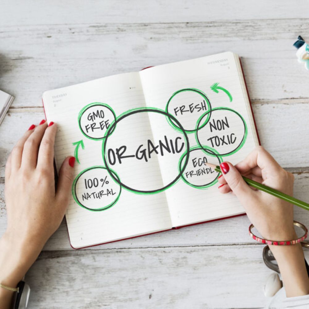 Organic Earth - Brain Smart Tab - Cognitive Support & Brain Health - Natural Ingredients - 60 Tablets