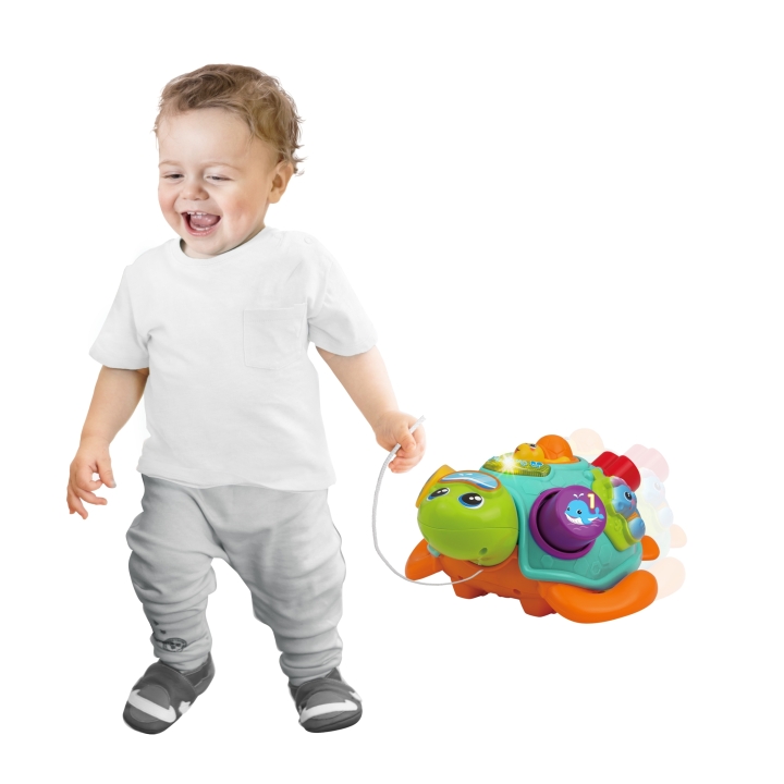 وين فن - لعبة سلحفاة السحب والفرز التعليمية