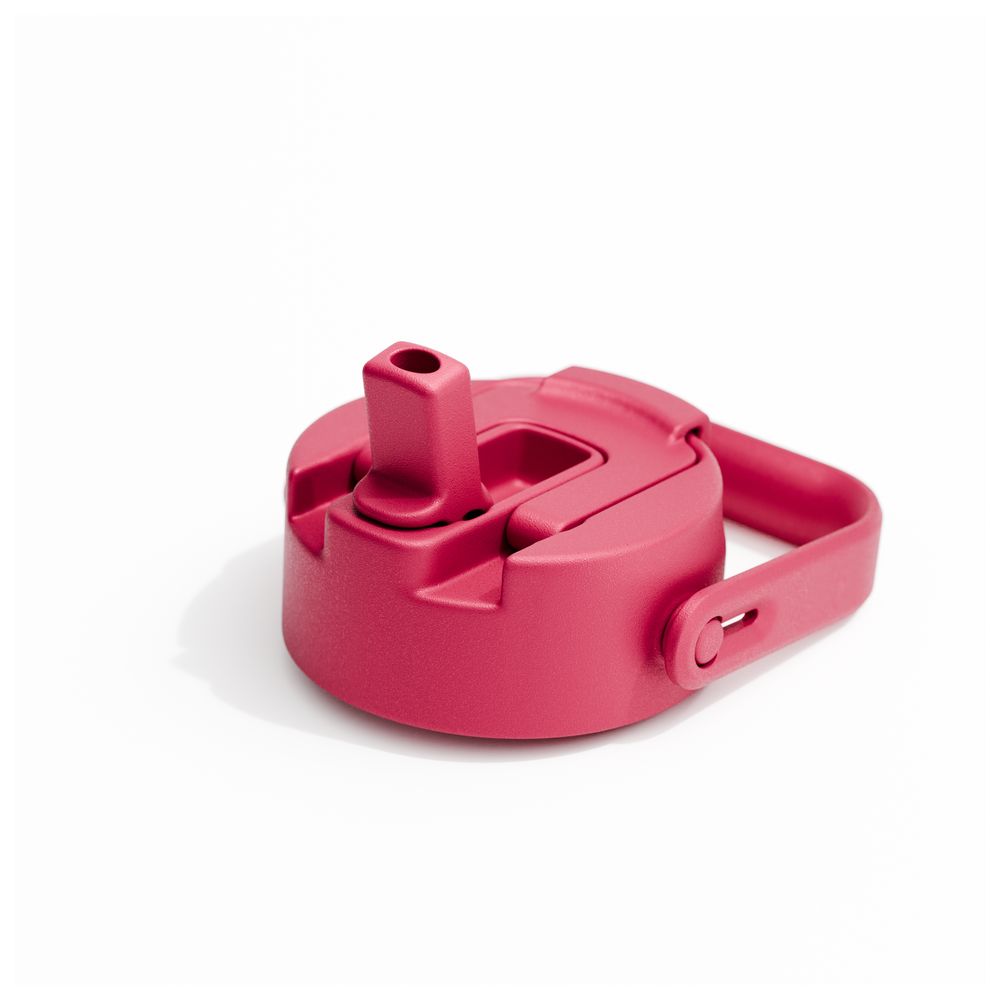 بيولا - زمزمية مياه معزولة بالفراغ مع غطاءين - لون توت العليق - ٧٥٠ مل