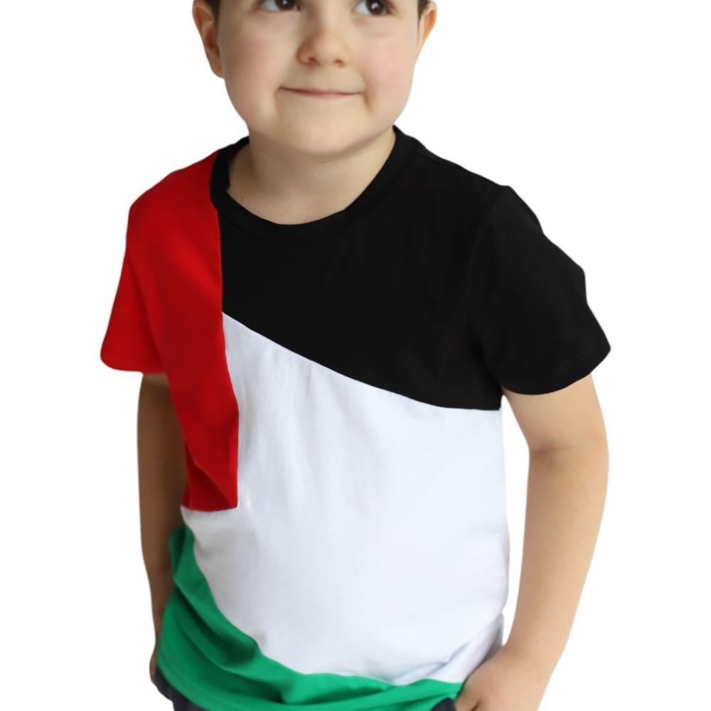 Daniel - Palestine Flag Tshirt National Wear