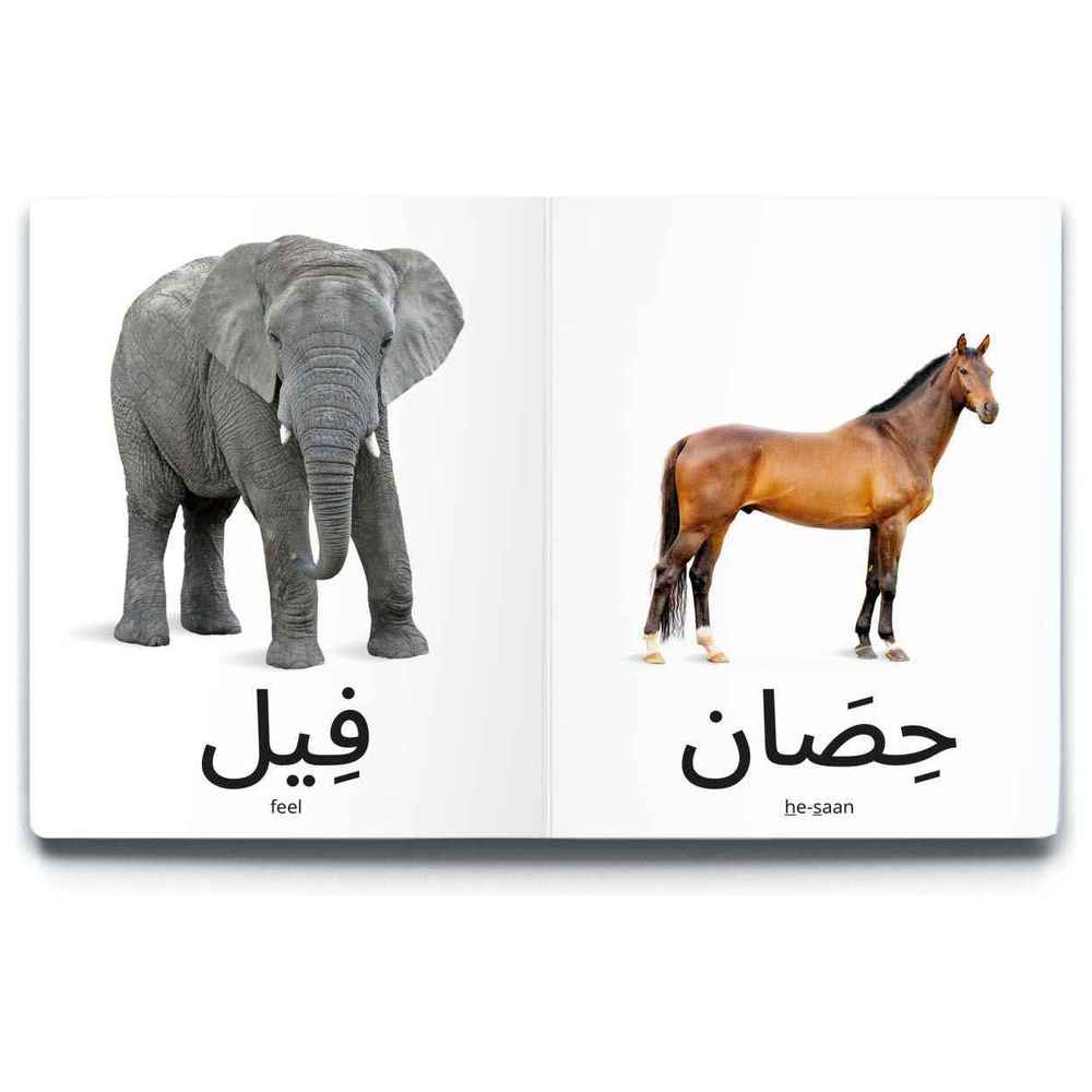 Dardasha - Animals Book