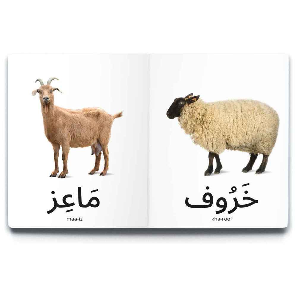 Dardasha - Farm Animals Book