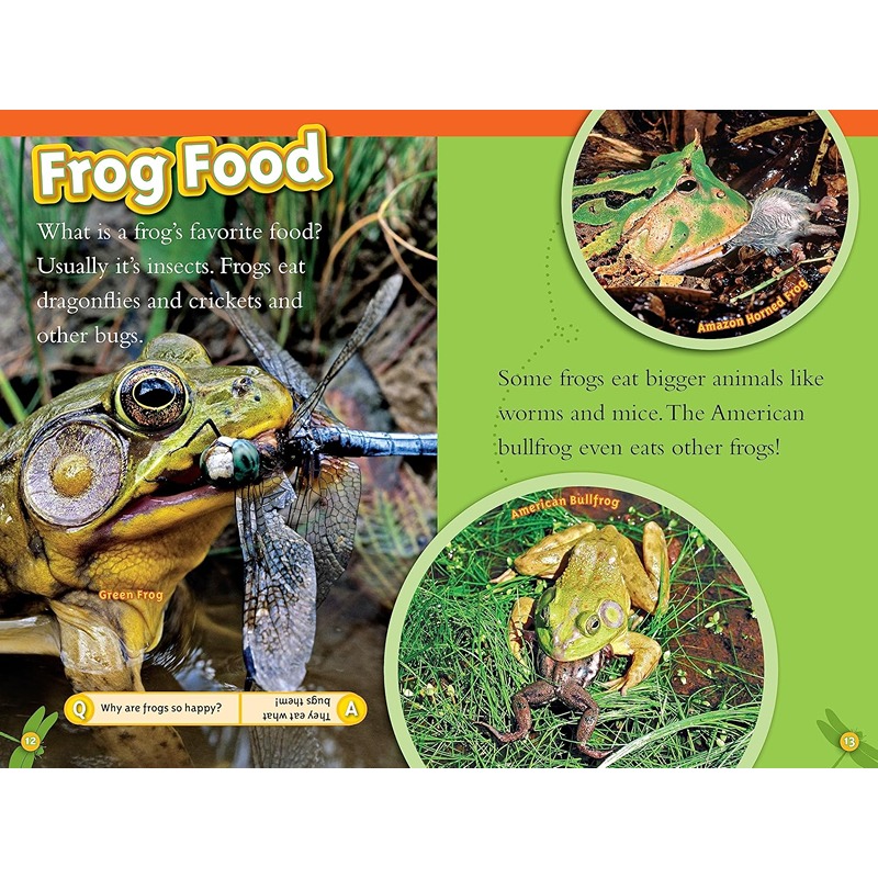 Animal All-Stars Collection