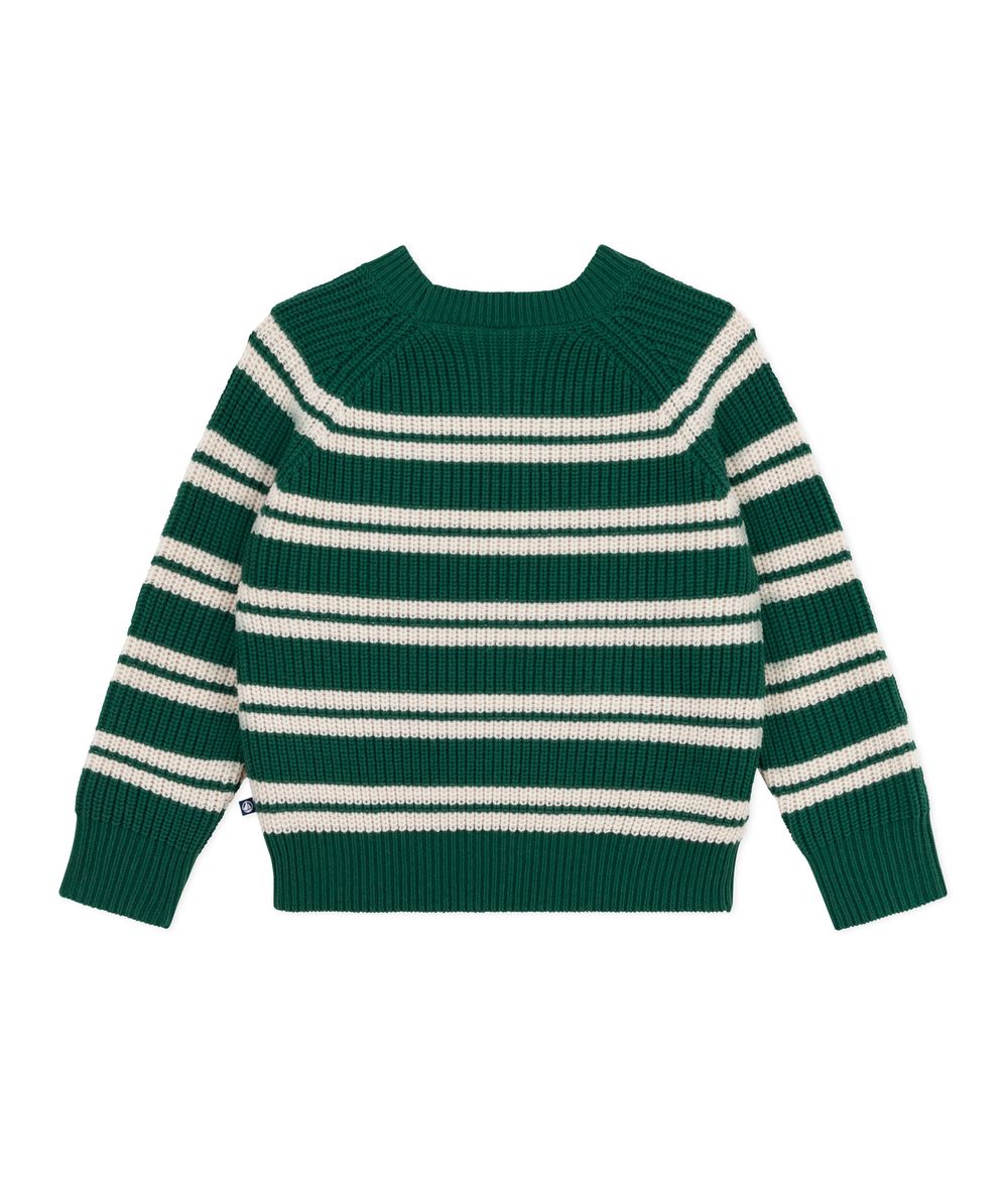 Petit Bateau - Boy's Long Sleeves Striped Jumper - Willow/Avalanche