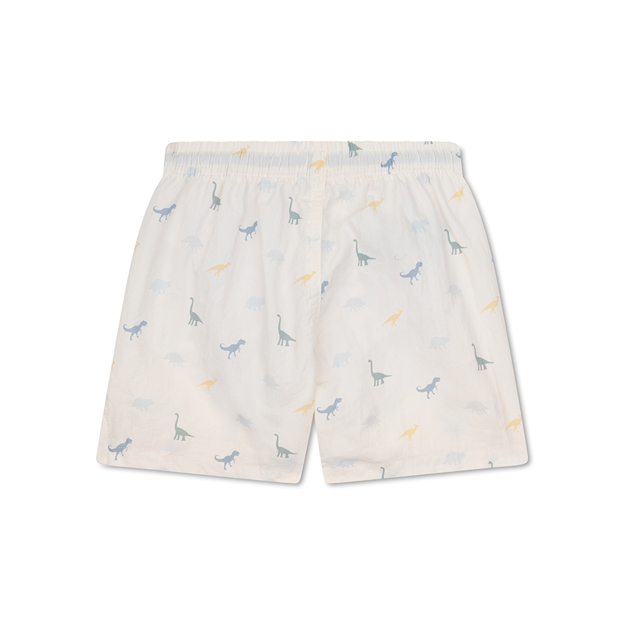 Swim Essentials - Boys' Printed Swim Shorts - Dino