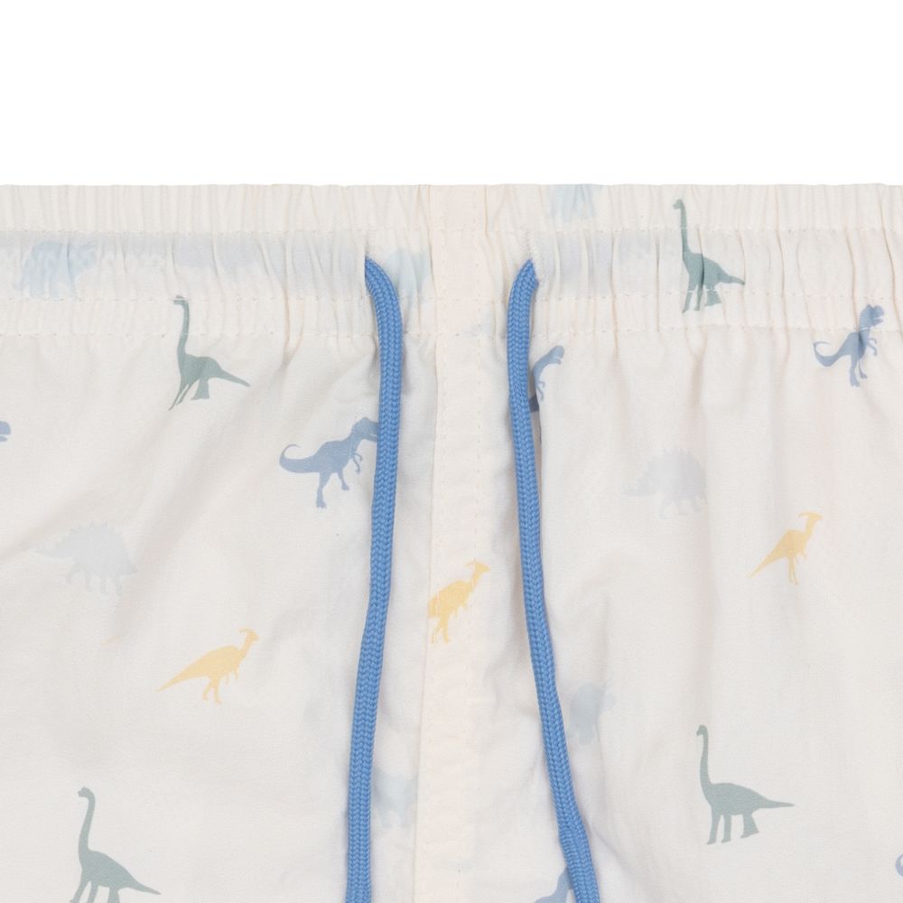 Swim Essentials - Boys' Printed Swim Shorts - Dino