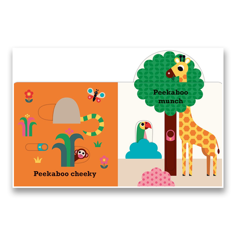 Peekaboo Lion Book