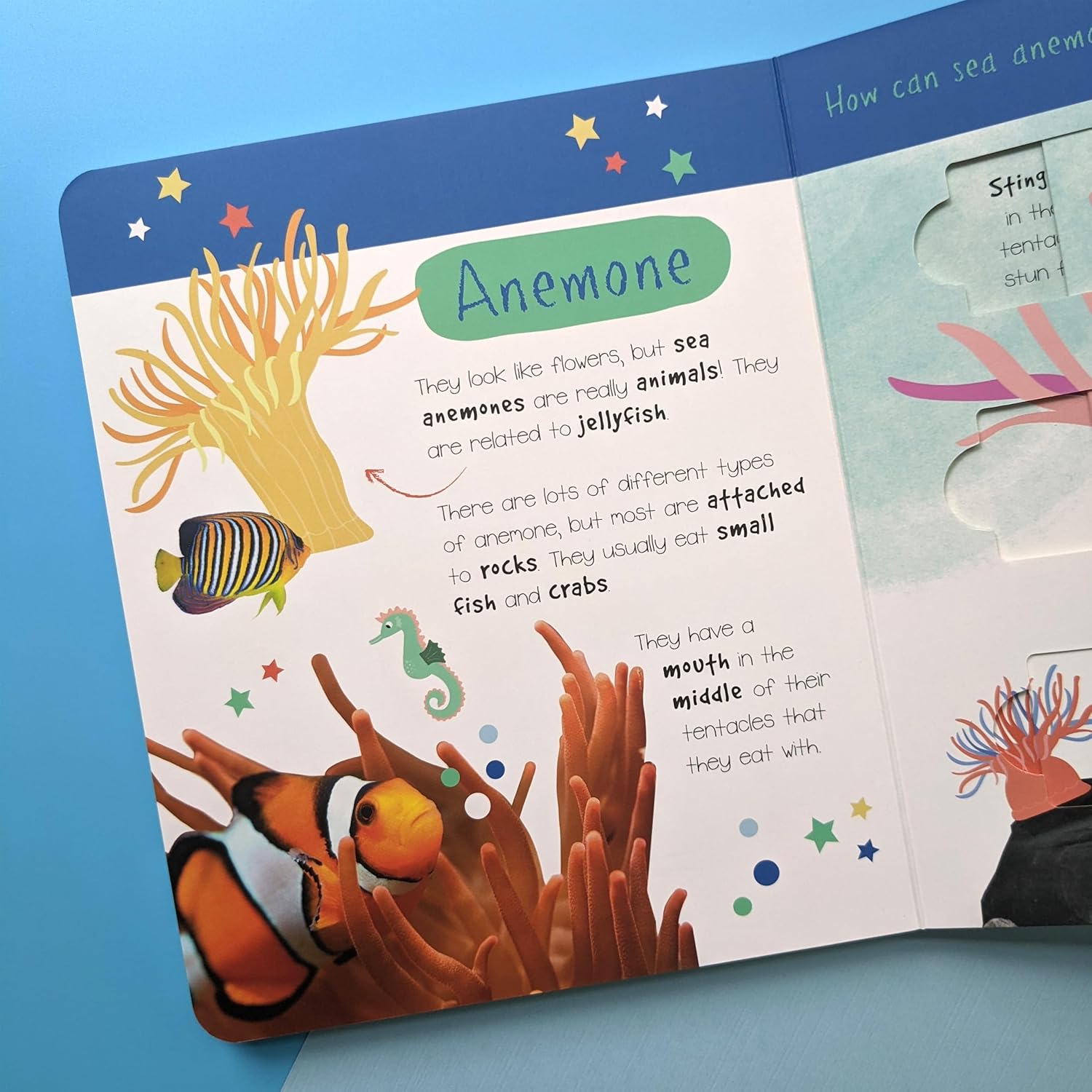 North Parade Publishing - Little Wonders Slide And Find Puzzle Slider Books - Sea Animals