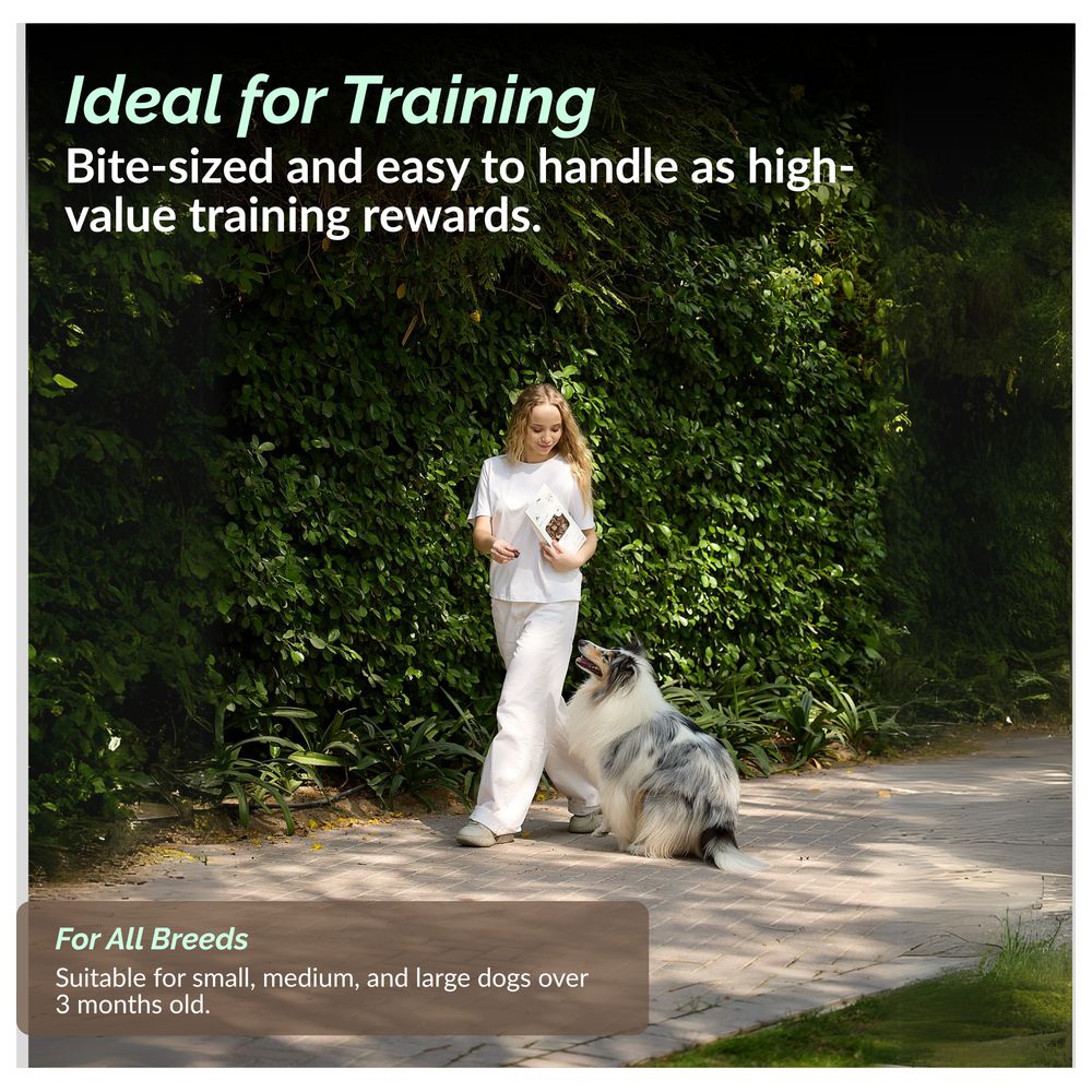 O2 Pets - Super Snack Dog Treats - Beef Cubes - 50 gm